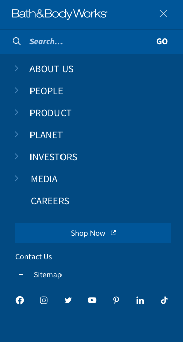 Mobile navigation