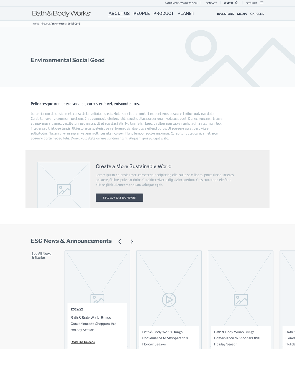 ESG page wireframe