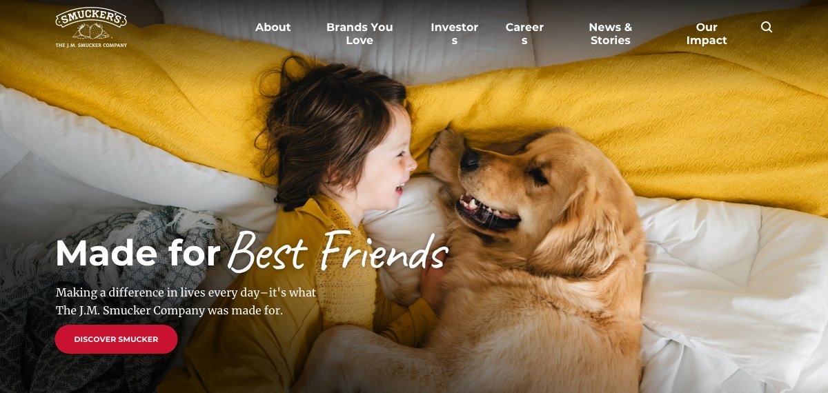 Home page hero direction: Made for Best Friends
